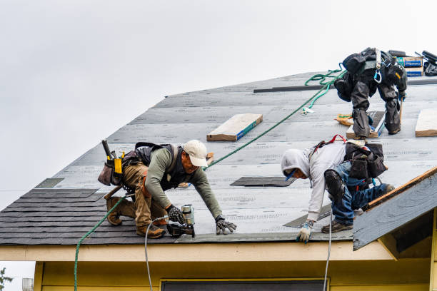 Professional Gutter Installation technician working in La Crescent, MN